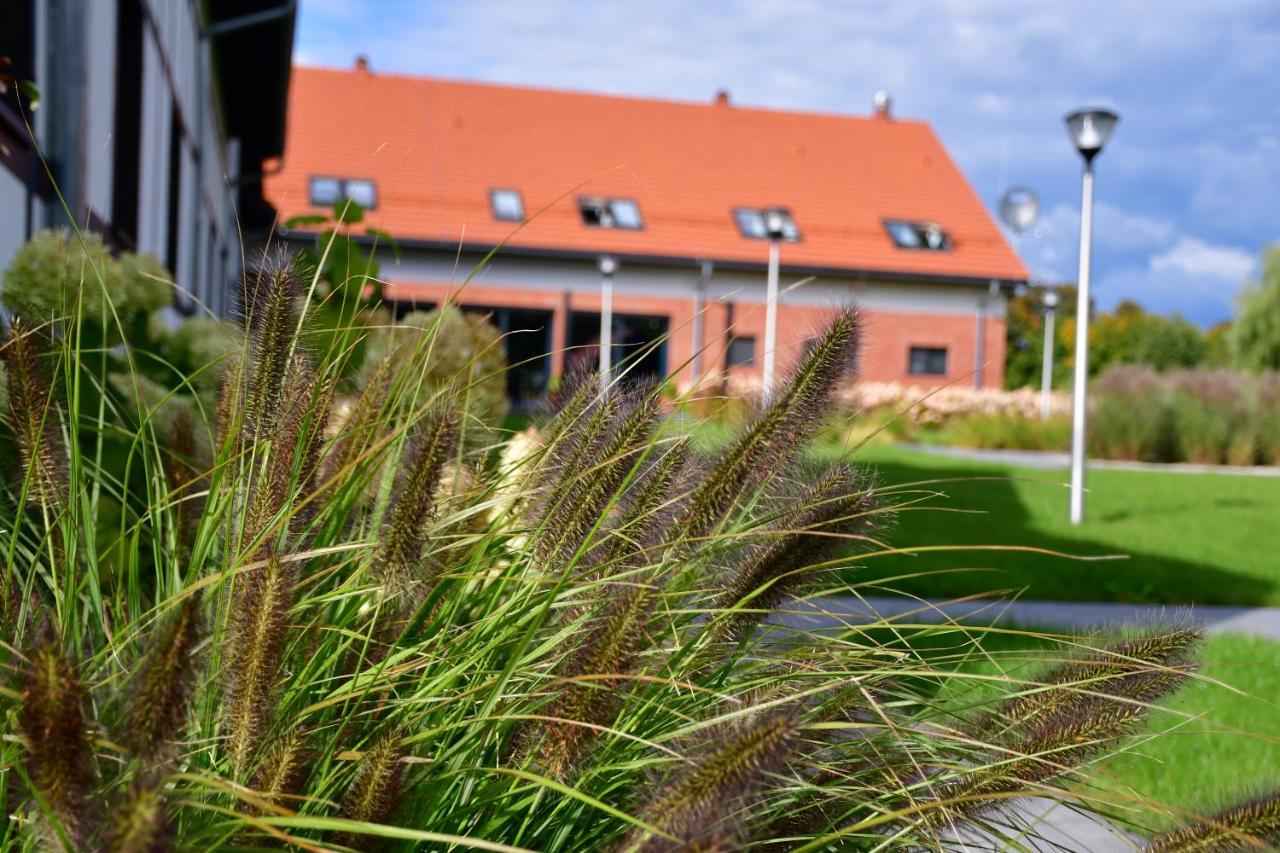 Mazurskie Centrum Rehabilitacji-Dębowa Góra Olsztynek Exterior foto